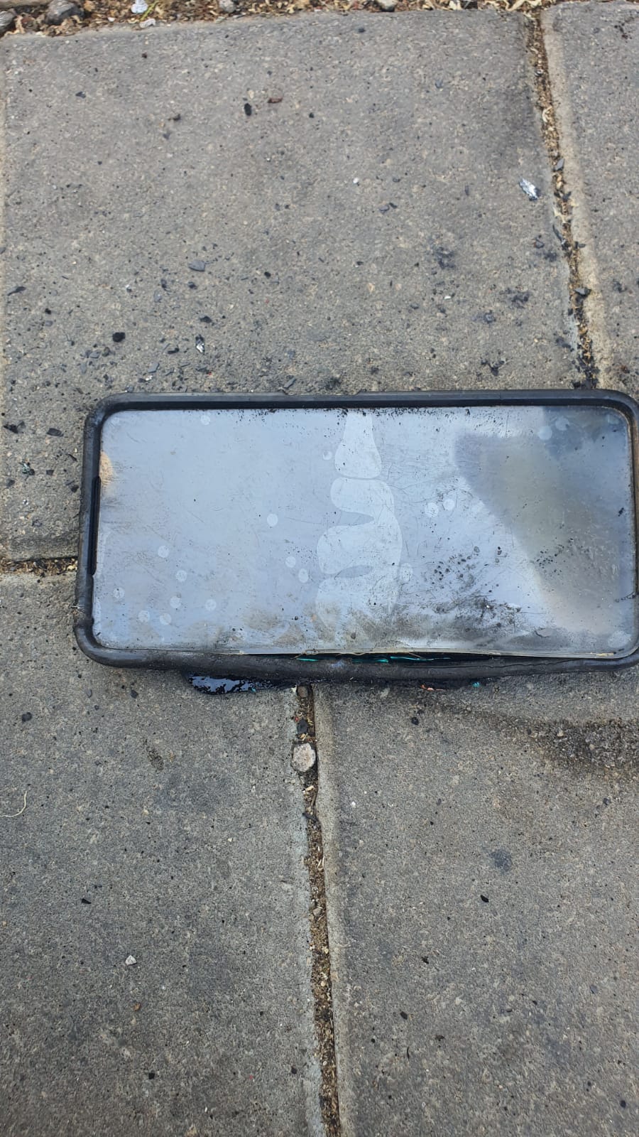 WhatsApp Image 2022-10-27 at 11.09.04 AM.jpeg